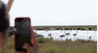 Flamingo Yolu turları başladı