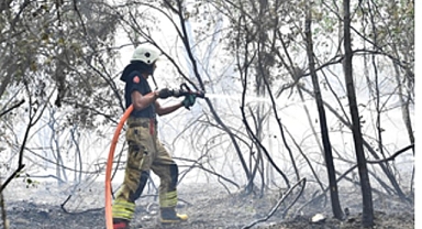 İzmir İtfaiyesi Menderes’te alevlerle mücadele ediyor