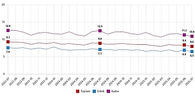 İşgücü İstatistikleri, Temmuz 2025