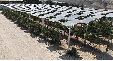 Yüzde 60 eğimli arazide ilk güneş enerjisi santrali Adana’da