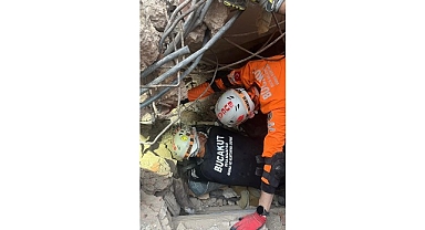 BUCAKUT’tan yavru köpek operasyonu