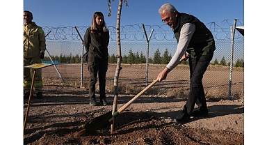 OGM: 30 milyon fidan sahiplenildi